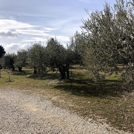 Appartement Au Milieu Des Oliviers Rasteau Zewnętrze zdjęcie