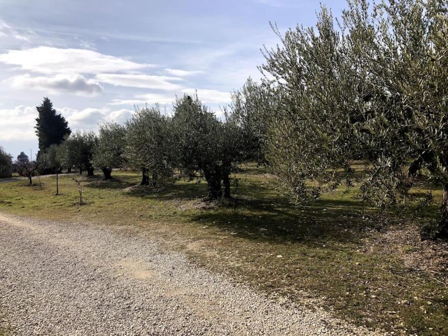 Appartement Au Milieu Des Oliviers Rasteau Zewnętrze zdjęcie